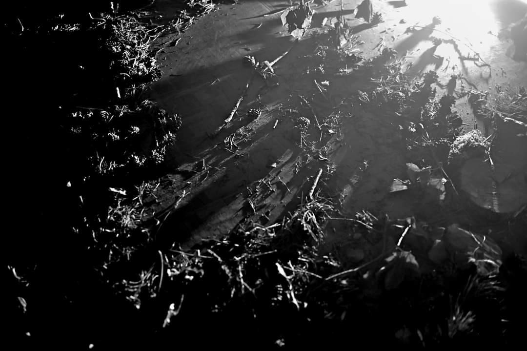 Light & Shadow   