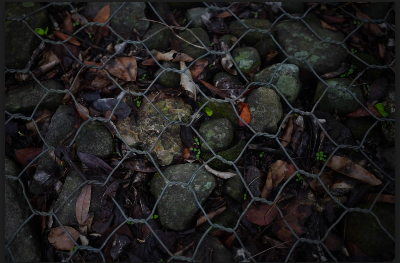 Rocks On Chains 