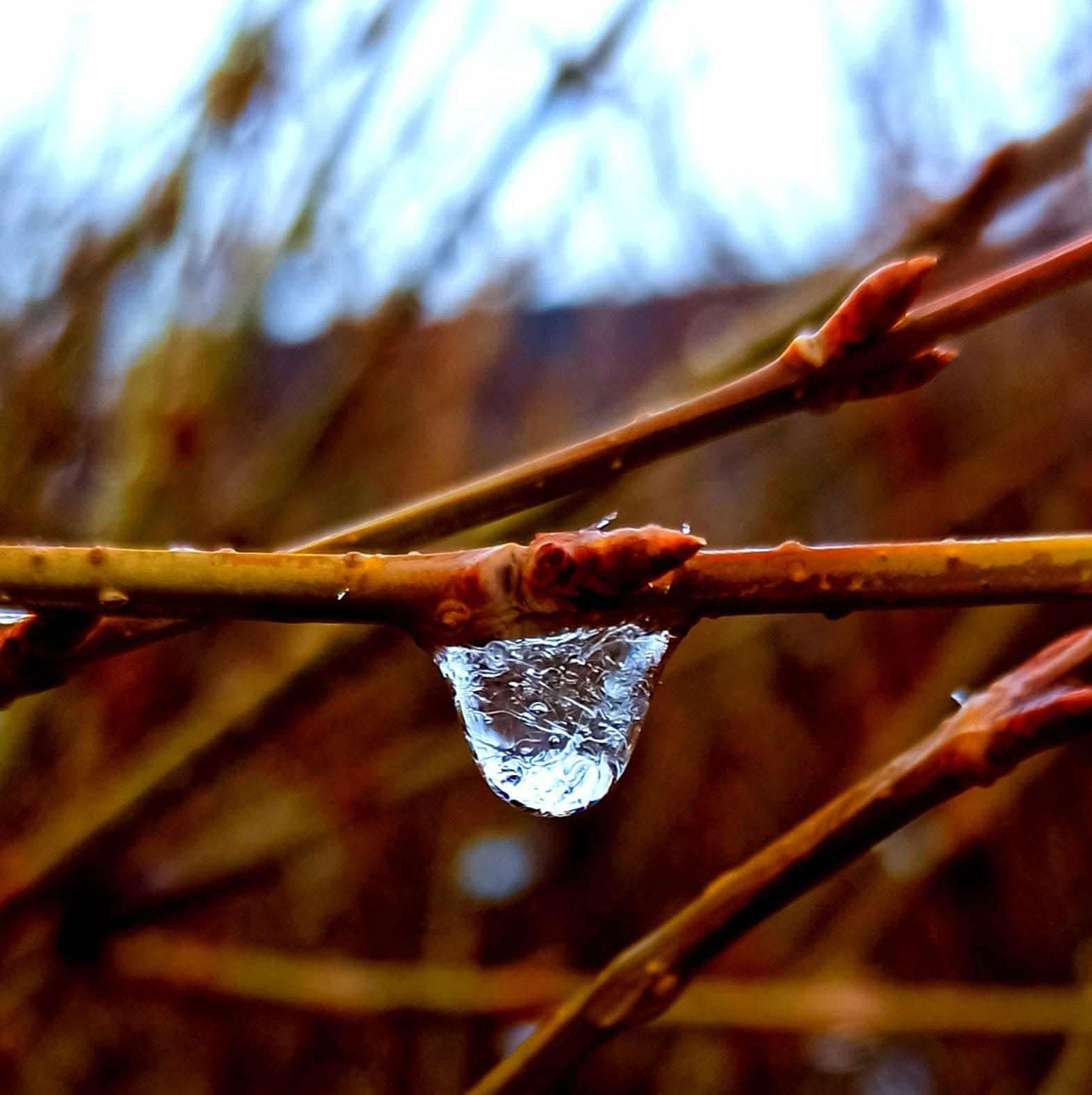 frozen drop